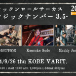 -VARIT.20th Anniversary- ロックンロールサーカス -マジックナンバー 3.5-